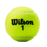 Balles de Tennis Champ 4 Extra Duty